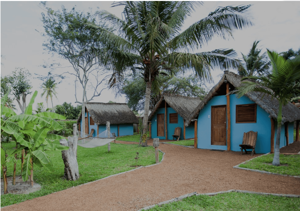 Our chalets and rooms